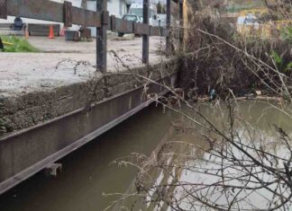 ¿Quién anda ahí? Móstoles: Marzo