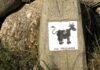 El 5 de abril Ecologistas en Acción conmemora en Móstoles el 5º Día de las Vías Pecuarias