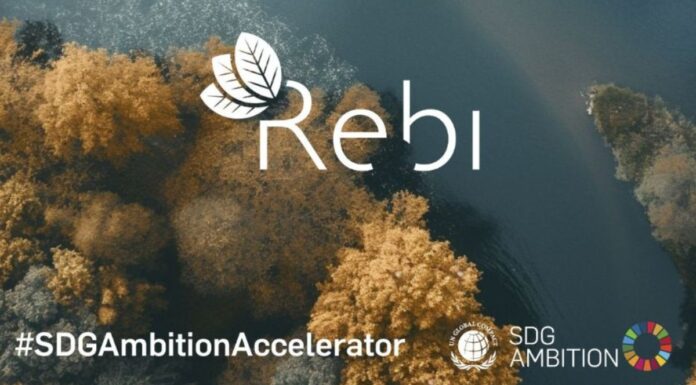 Rebi, empresa que gestiona la calefacción en Móstoles, participará en el programa SDG Ambition