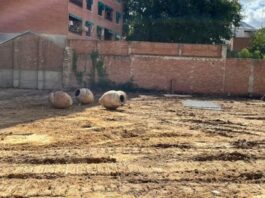 El PSOE de Móstoles pide explicaciones por falta de transparencia en la demolición de la Casa Roja
