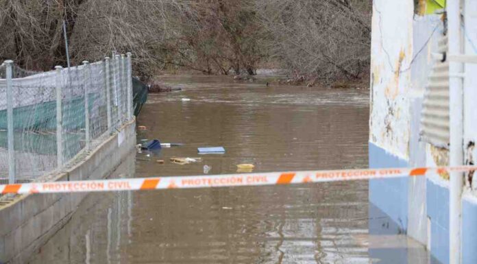 Limpiar el río Guadarrama en Móstoles