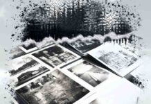 El Centro Cultural Villa de Móstoles inaugura la exposición fotográfica “Revelando miradas”
