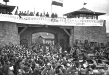 Mathausen
