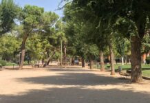 La carrera contra las enfermedades raras en Móstoles y Dj Marta acaparan el ocio de este fin de semana