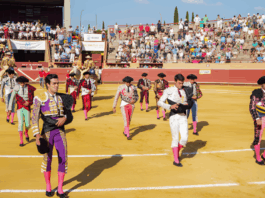 Una jornada memorable: éxito rotundo en la corrida de toros en Móstoles