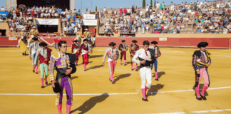 Una jornada memorable: éxito rotundo en la corrida de toros en Móstoles