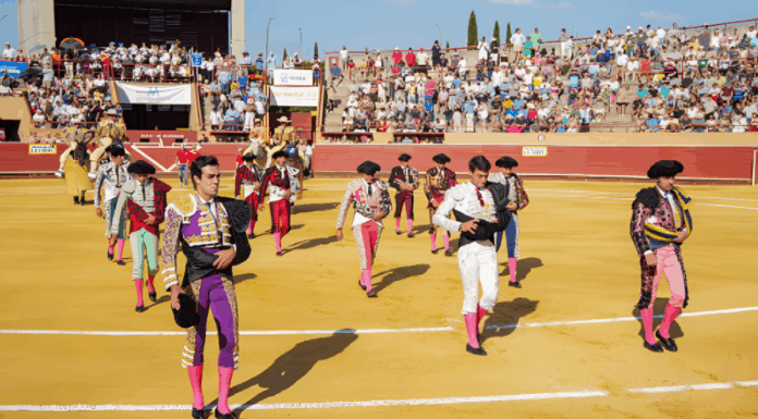 Una jornada memorable: éxito rotundo en la corrida de toros en Móstoles