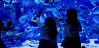 Verano de ocio para las familias mostoleñas en intu Xanadú