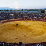 Con Morante de la Puebla, Tomás Rufo y Alejandro Chicharro. Gran cartel para la corrida de toros del próximo 15 de junio en la Plaza de Toros de Móstoles.