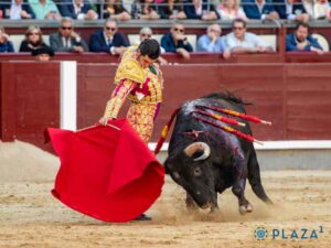 Una jornada memorable: éxito rotundo en la corrida de toros en Móstoles 