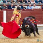 Con Morante de la Puebla, Tomás Rufo y Alejandro Chicharro. Gran cartel para la corrida de toros del próximo 15 de junio en la Plaza de Toros de Móstoles.