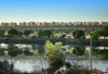 ¿Quién anda ahí? Móstoles: Junio
