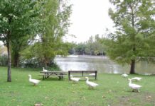 La Fiesta del Verano y Terelu Campos acaparan el ocio este fin de semana en Móstoles