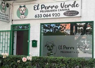 Abre un nuevo centro de bienestar canino en Móstoles