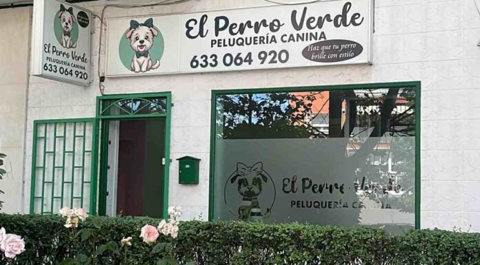 Abre un nuevo centro de bienestar canino en Móstoles