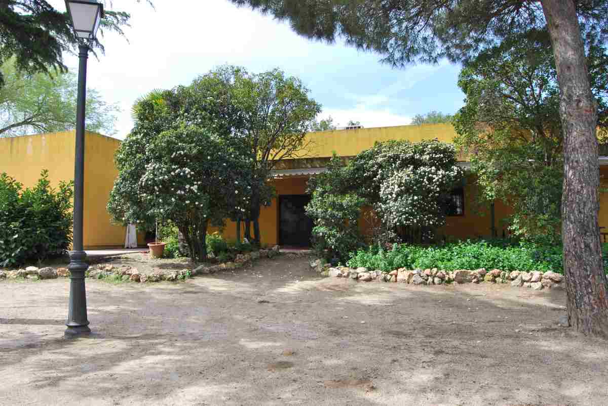 Julio medioambiental en Móstoles