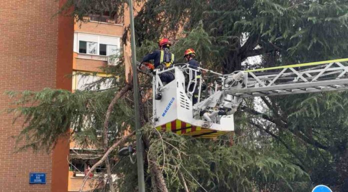 Fuertes rachas de viento protagonizan la tarde del martes en Móstoles