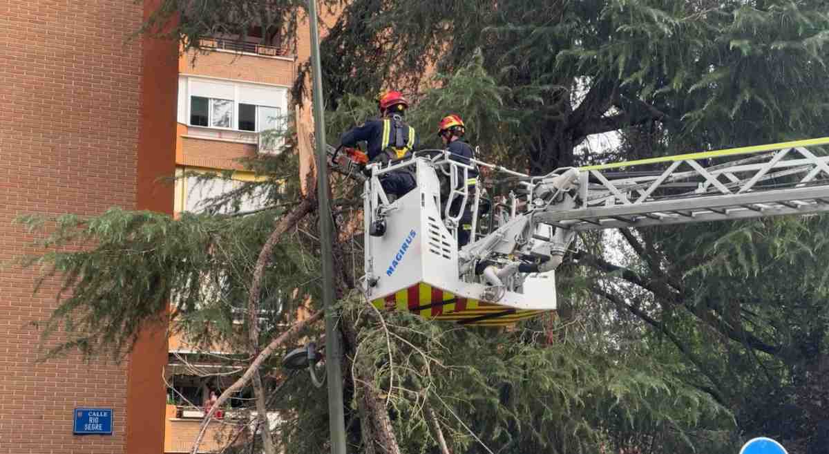Fuertes rachas de viento protagonizan la tarde del martes en Móstoles