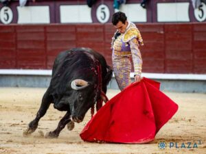 Con Morante de la Puebla, Tomás Rufo y Alejandro Chicharro. Gran cartel para la corrida de toros del próximo 15 de junio en la Plaza de Toros de Móstoles.