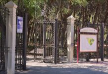 Tres heridos por una brutal pelea entre dos perros en Móstoles