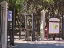 Tres heridos por una brutal pelea entre dos perros en Móstoles