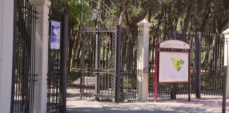 Tres heridos por una brutal pelea entre dos perros en Móstoles