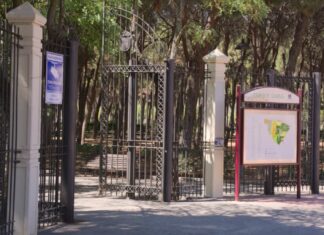 Tres heridos por una brutal pelea entre dos perros en Móstoles