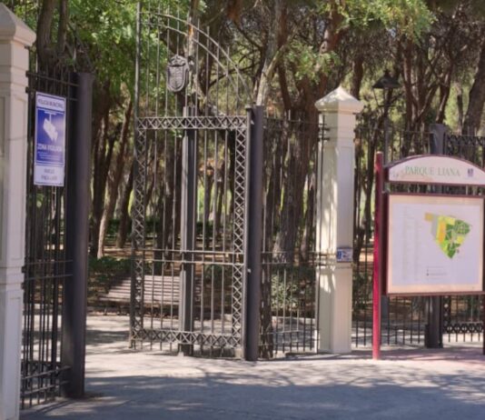 Tres heridos por una brutal pelea entre dos perros en Móstoles