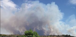Un incendio en la provincia de Toledo deja en Móstoles nubes de humo y ceniza