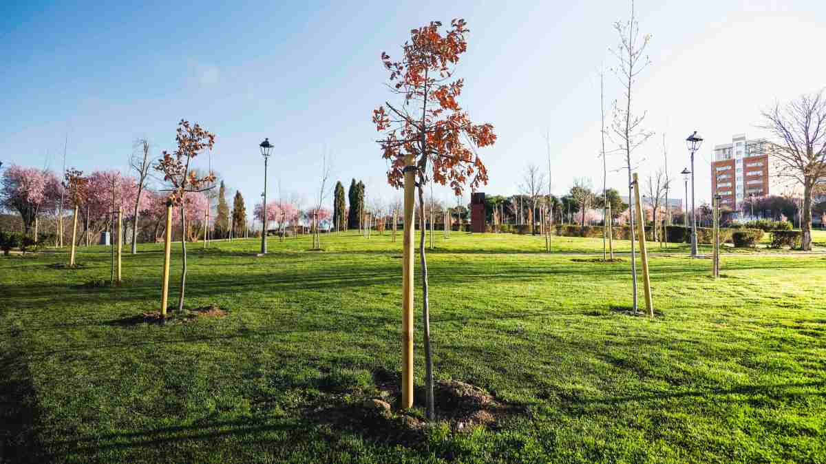 La situación del Parque Prado Ovejero de Móstoles motivo de debate