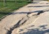 La situación del Parque Prado Ovejero de Móstoles motivo de debate
