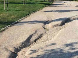 La situación del Parque Prado Ovejero de Móstoles motivo de debate