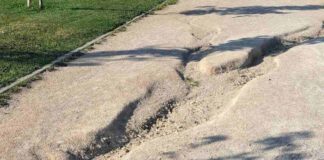 La situación del Parque Prado Ovejero de Móstoles motivo de debate
