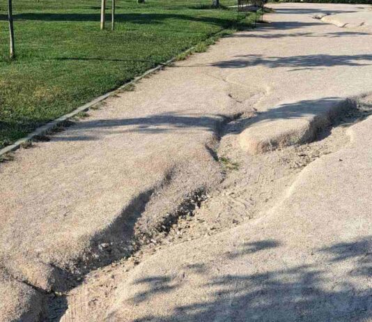 La situación del Parque Prado Ovejero de Móstoles motivo de debate