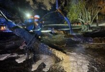 Sofocado un incendio intenso entre Móstoles y Alcorcón
