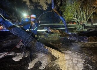 Sofocado un incendio intenso entre Móstoles y Alcorcón
