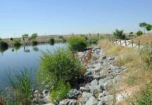 On Five y los ritmos flamencos de Angélica Leyva acaparan el ocio este fin de semana en Móstoles