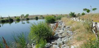 On Five y los ritmos flamencos de Angélica Leyva acaparan el ocio este fin de semana en Móstoles