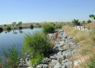 On Five y los ritmos flamencos de Angélica Leyva acaparan el ocio este fin de semana en Móstoles