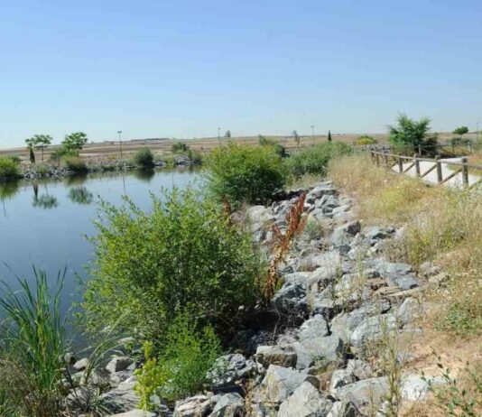 On Five y los ritmos flamencos de Angélica Leyva acaparan el ocio este fin de semana en Móstoles