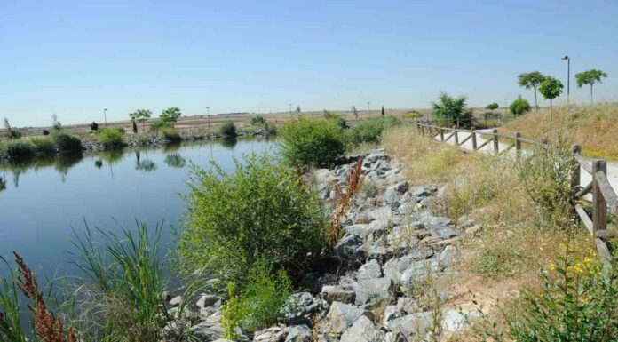 On Five y los ritmos flamencos de Angélica Leyva acaparan el ocio este fin de semana en Móstoles
