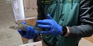Desarticulada una trama que estafó 1,6 millones de euros por Internet con ramificaciones en Móstoles