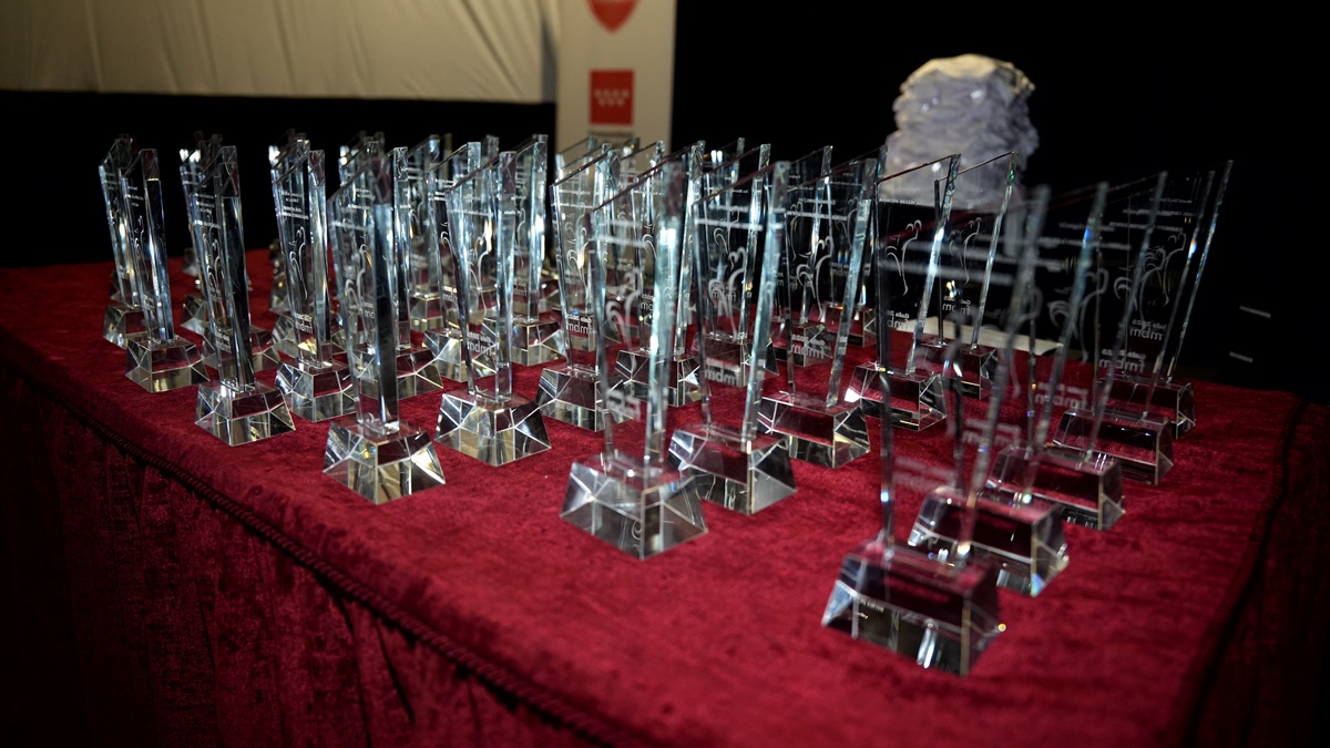 Gran celebración de la Gala anual del Balonmano Madrileño en el Centro Cultural Villa de Móstoles