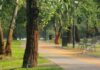 ¿Quién anda ahí? Móstoles: Desiertos y ciudades