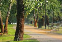 ¿Quién anda ahí? Móstoles: Desiertos y ciudades