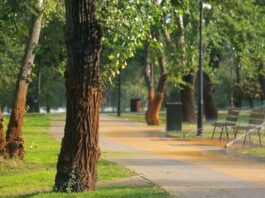 ¿Quién anda ahí? Móstoles: Desiertos y ciudades