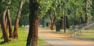 ¿Quién anda ahí? Móstoles: Desiertos y ciudades
