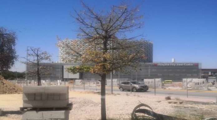 Ecologistas en Acción denuncia el grave deterioro de un centenar de árboles en Móstoles