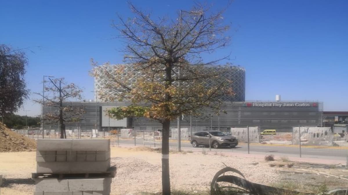 Ecologistas en Acción denuncia el grave deterioro de un centenar de árboles en Móstoles