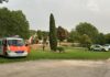 Los bomberos extinguen un conato de incendio en el Parque Prado Ovejero de Móstoles